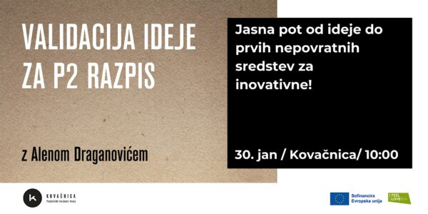 Validacija ideje za P2 razpis